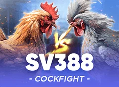 SV388 Cockfighting at Winbox MY